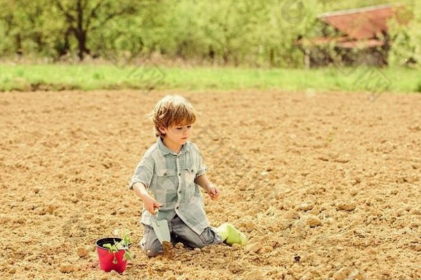 种植场助手花园男孩坐地面种植花场有趣的时间农场园艺概念<strong>孩子</strong>有趣的铲植物能种植幼苗
