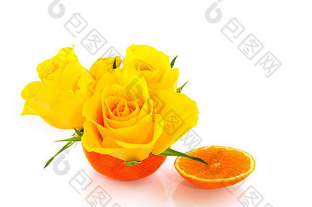 <strong>橘子</strong>黄色的玫瑰孤立的白色