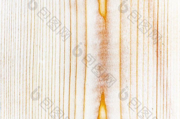 木纹理松