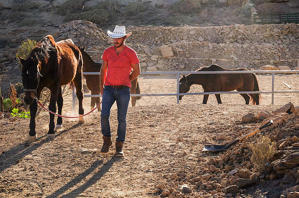 红色的衬衫牛仔农民男人。工作马户外国家一边的地方不错的替代免费的生活方式人享受自然