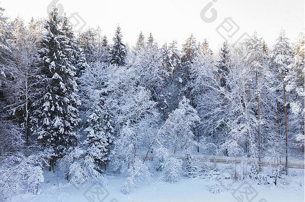 无人机图像雪白色冬天森林景观