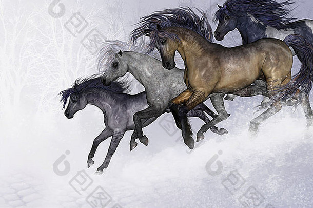 冬天幸福美丽的野生马运行坡寒冷的场景