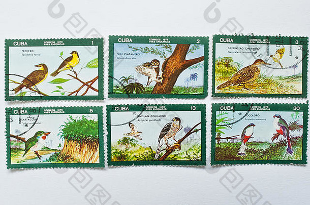 乌日哥罗德乌克兰约集合邮资邮票印刷古巴邮件显示鸟系列约