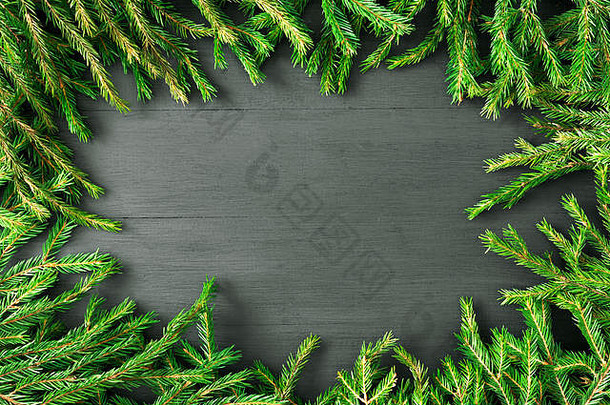 圣诞节轮框架冬天树分支机构视锥细胞白色背景节日冬天背景