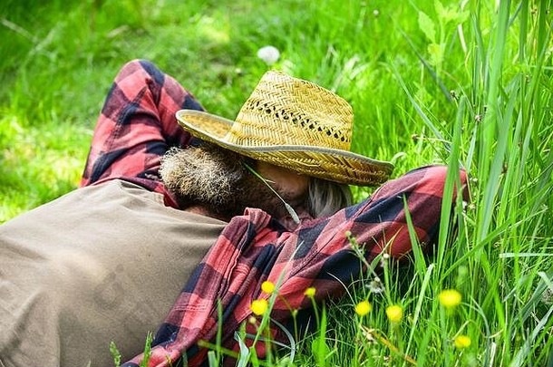甜蜜的梦想牧场赶时髦的人穿网纹衬衫农业农业放松农民稻草他成熟的男人。园丁放松绿色草享受春天自然夏天季节完美的