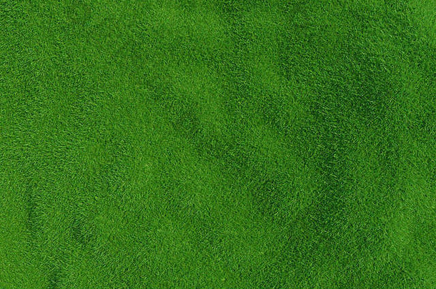自然草纹理模式背景前视图长满草的草坪上环境背景呈现