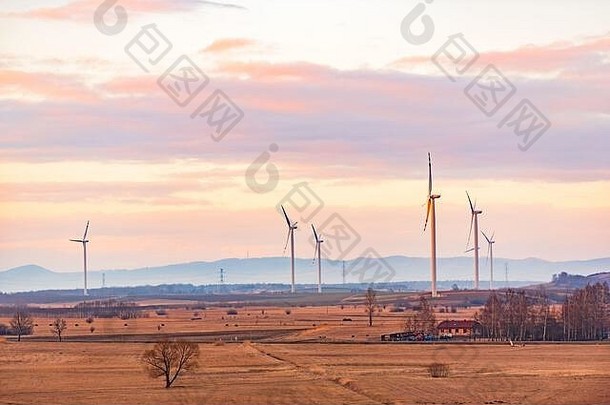风涡轮机场农村区域
