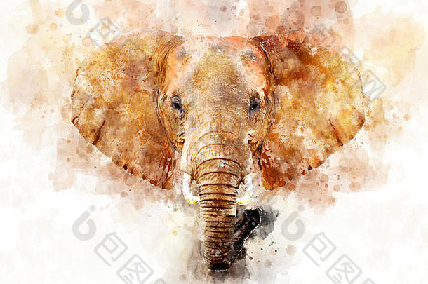 水彩插图大象肖像美丽的野生动物世界