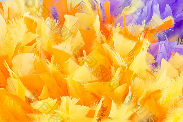 黄色的羽毛背景完整的框架角落里紫色的羽毛复活节装饰