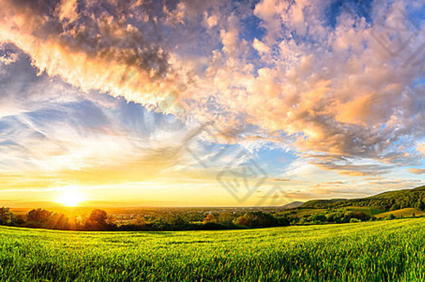 全景色彩斑斓的日落新鲜的绿色草地宽格式农村景观充满活力的颜色