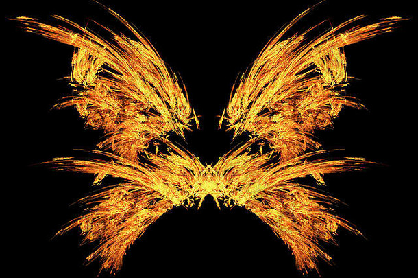 火余烬蝴蝶翅膀特殊的效果摘要水平孤立的黑色的
