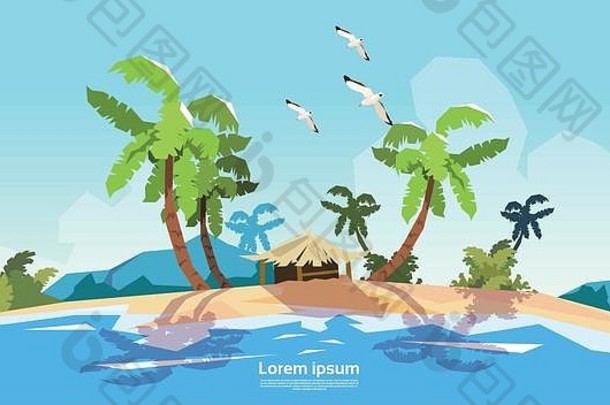 热带海滩岛棕榈树海洋夏天假期