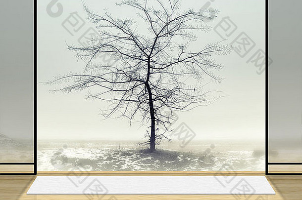 数字背景工作室摄影师Zen房间孤独的树雾背景