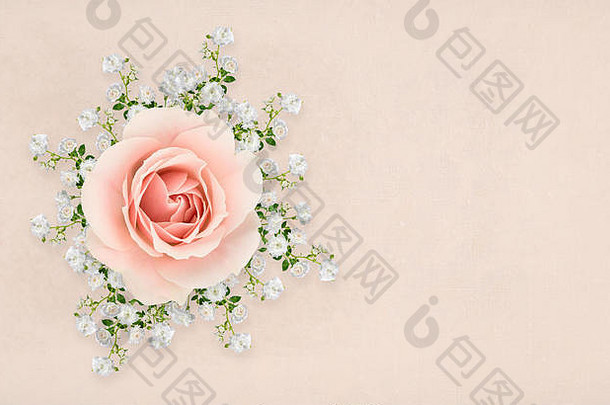 拼贴画粉红色的白色玫瑰阴影安排变形背景