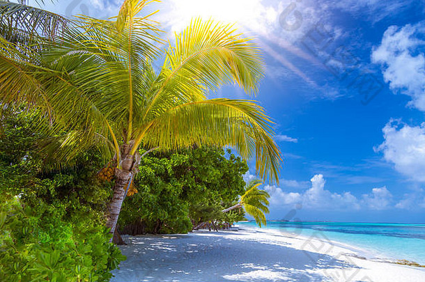 宁静的海滩场景异国情调的热带海滩度假胜地景观背景壁纸设计夏天假期假期概念马尔代夫岛
