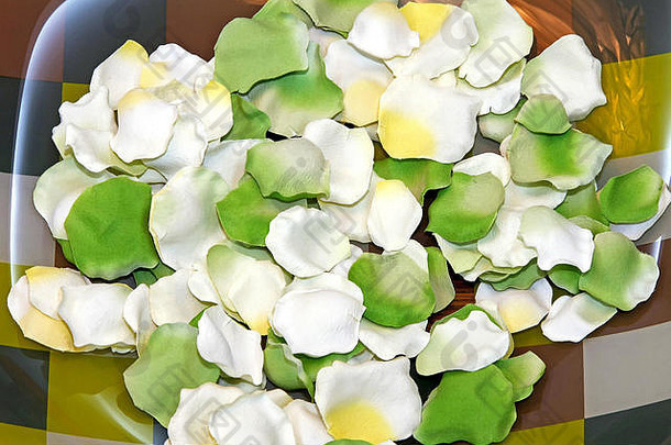 芳香疗法水疗中心板绿色白色花瓣