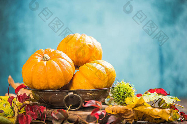 感恩节概念秋天的颜色充满活力的背景