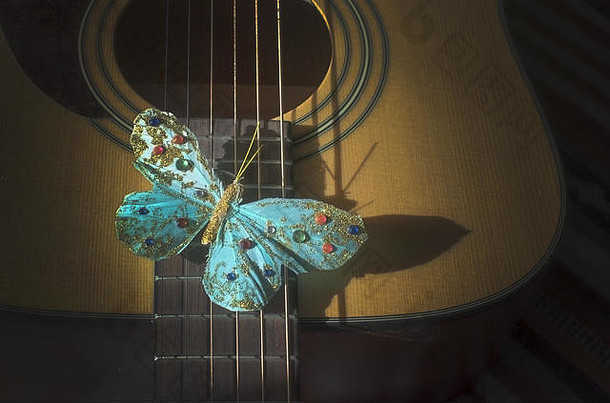 绿松石蝴蝶字符串声吉他概念诗歌乐感歌手作曲家创造力