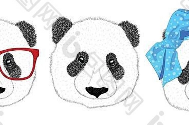 手画插图头熊猫女孩弓风格熊猫男人。领带集
