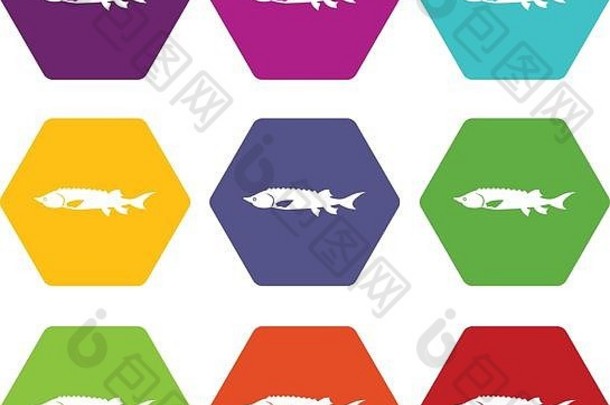 新鲜的鲟鱼鱼图标集颜色六面体
