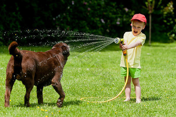 孩子玩棕色（的）拉布拉多软管水