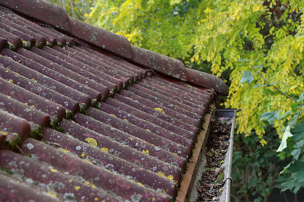 脏屋顶男孩清洁秋天问题叶子莫斯