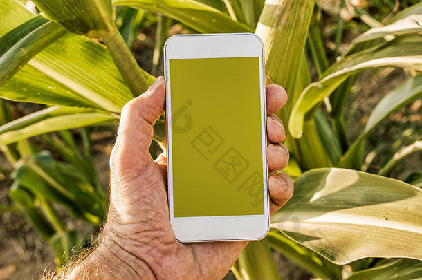 农业科技聪明的农业移动电话应用程序模拟屏幕农民持有智能手机空白屏幕复制空间农业相关的品