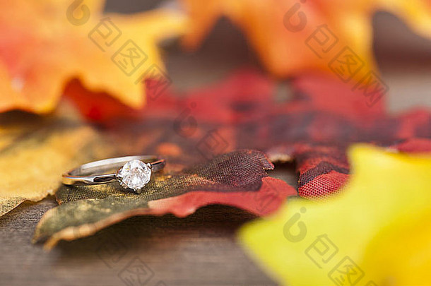 钻石订婚环节日秋天装饰