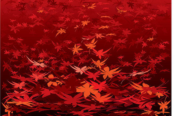秋天枫树叶子阴影颜色