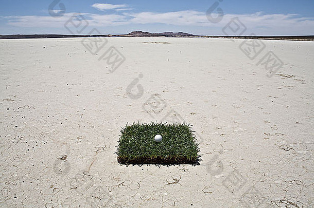 高尔夫球球补丁草沙漠