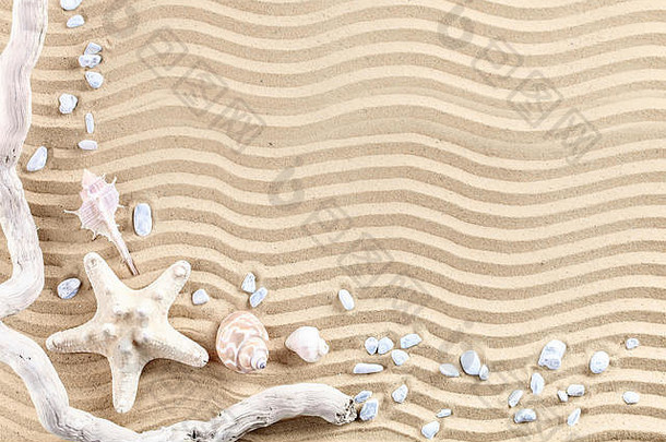 海星贝壳海石头棕榈叶子说谎海沙子的地方标签