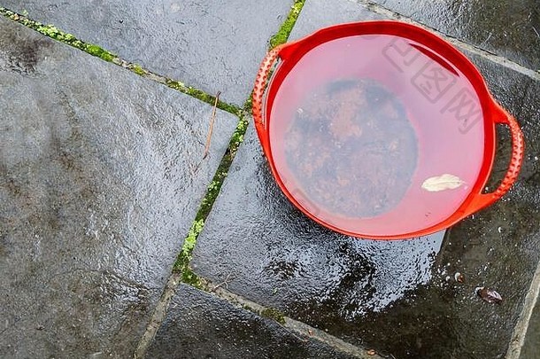 高角视图红色的桶完整的雨水
