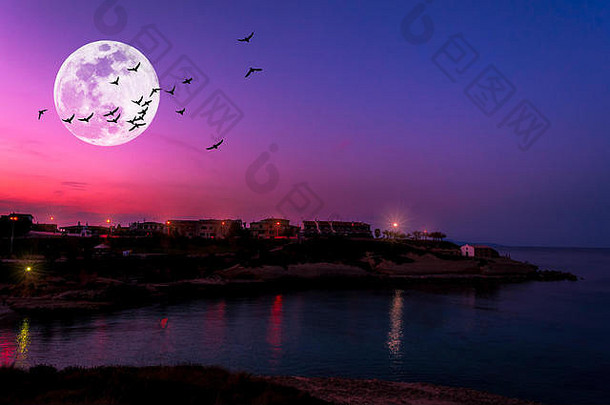 海景紫色的日落海岸