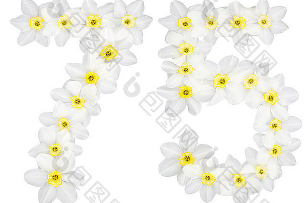 数字<strong>七</strong>十年自然白色花水仙花那喀索斯孤立的白色背景