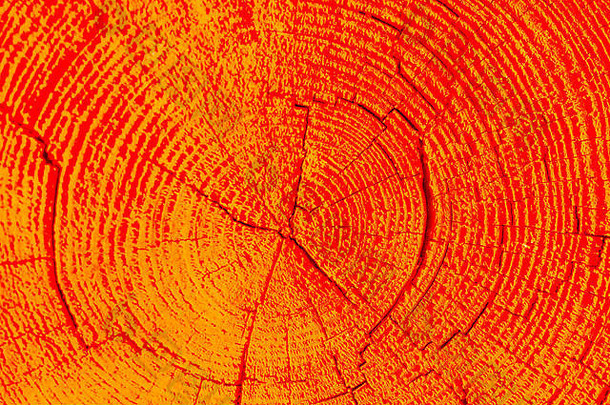 减少树树桩表面背景纹理