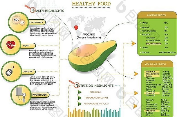 infographics鳄梨健康的食物