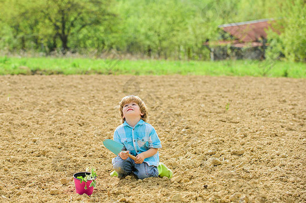 妈妈。自然概念孩子有趣的铲植物能种植幼苗种植场助手花园男孩种植花场挖掘地面工作农场