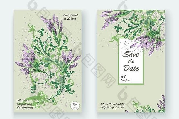 薰衣草花模式封面设计手画有创意的花优雅的时尚的艺术背景开花绿色植物分支图形插图