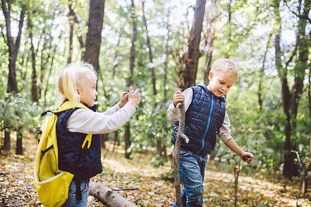 孩子们学龄前儿童高加索人哥哥妹妹图片移动电话相机森林公园秋天主题爱好活跃的
