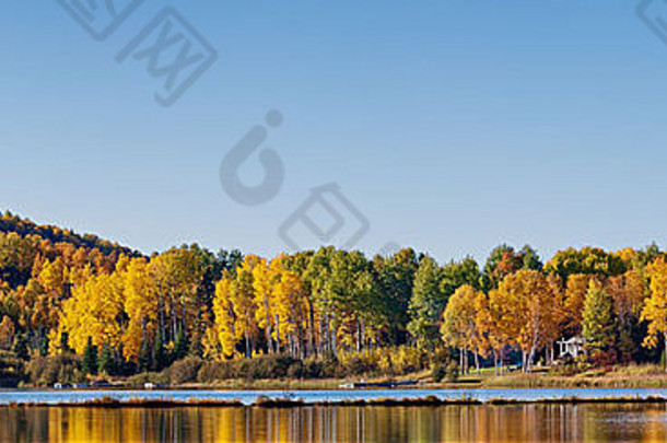 落叶森林反射湖美丽的秋天颜色