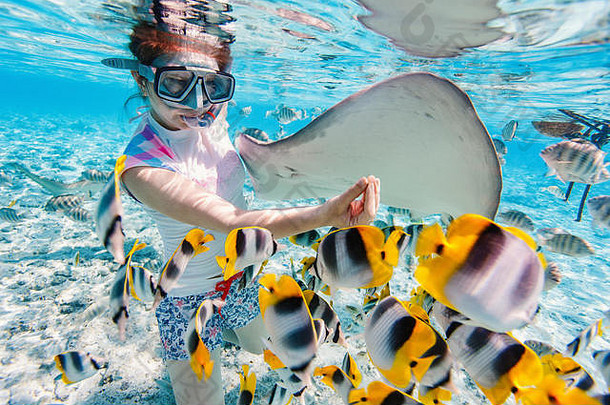 女人浮潜清晰的热带水域色彩斑斓的鱼