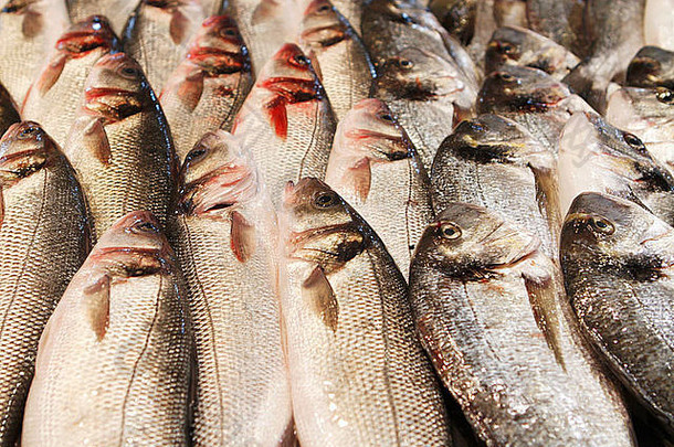 鱼物种棕榈马略卡岛´s城市市场西班牙