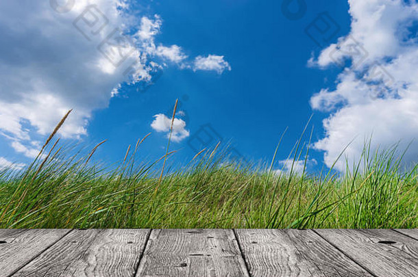 海滩草蓝色的狂风暴雨的天空木木板
