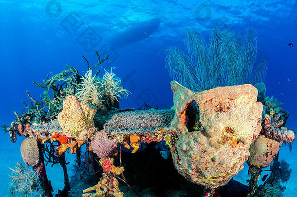 珊瑚镶嵌海难潜水船停泊
