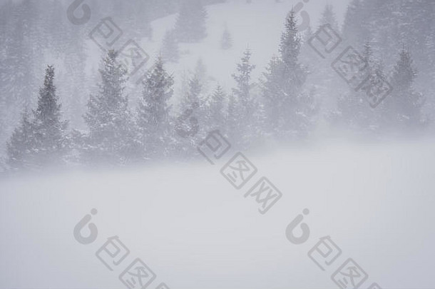 冬天景观流苏山很多雪树多风的一天多雾的
