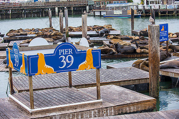 著名的码头渔人码头三旧金山