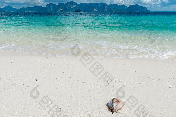 前景椰子螺母海滩美丽的景观