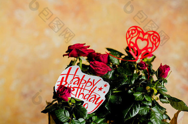 红色的玫瑰花红色的心木背景生日卡美丽的红色的玫瑰红色的花消息快乐生日