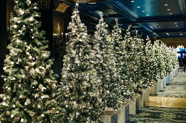 加兰光灯泡圣诞节晚上经典豪华的公寓装饰圣诞节树