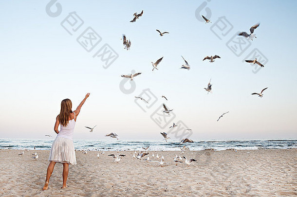 女人海滩喂养海鸥